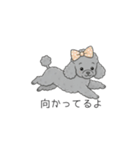 犬の日特集✧世界中のわんちゃんに幸せを♡（個別スタンプ：37）