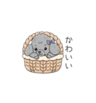 犬の日特集✧世界中のわんちゃんに幸せを♡（個別スタンプ：39）