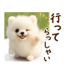 ずーっと一緒♡羊毛ポメのお仕事連絡（個別スタンプ：6）