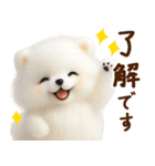 ずーっと一緒♡羊毛ポメのお仕事連絡（個別スタンプ：11）