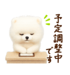 ずーっと一緒♡羊毛ポメのお仕事連絡（個別スタンプ：16）