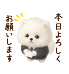 ずーっと一緒♡羊毛ポメのお仕事連絡（個別スタンプ：20）