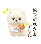 ずーっと一緒♡羊毛ポメのお仕事連絡（個別スタンプ：21）