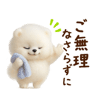 ずーっと一緒♡羊毛ポメのお仕事連絡（個別スタンプ：25）