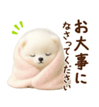 ずーっと一緒♡羊毛ポメのお仕事連絡（個別スタンプ：26）