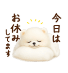 ずーっと一緒♡羊毛ポメのお仕事連絡（個別スタンプ：27）