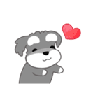 かわいいシュナ犬なんとなく動く3（個別スタンプ：6）