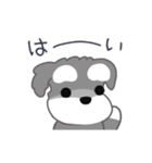 かわいいシュナ犬なんとなく動く3（個別スタンプ：9）