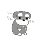 かわいいシュナ犬なんとなく動く3（個別スタンプ：10）