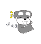 かわいいシュナ犬なんとなく動く3（個別スタンプ：13）