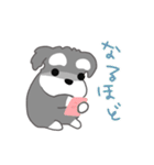 かわいいシュナ犬なんとなく動く3（個別スタンプ：19）