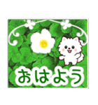 飛び出すポメラニアン！大人やさしい野の花（個別スタンプ：4）