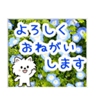 飛び出すポメラニアン！大人やさしい野の花（個別スタンプ：5）