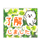 飛び出すポメラニアン！大人やさしい野の花（個別スタンプ：6）