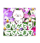飛び出すポメラニアン！大人やさしい野の花（個別スタンプ：10）