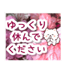 飛び出すポメラニアン！大人やさしい野の花（個別スタンプ：16）
