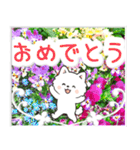 飛び出すポメラニアン！大人やさしい野の花（個別スタンプ：18）