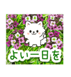 飛び出すポメラニアン！大人やさしい野の花（個別スタンプ：22）