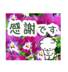 飛び出すポメラニアン！大人やさしい野の花（個別スタンプ：23）