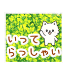 飛び出すポメラニアン！大人やさしい野の花（個別スタンプ：24）