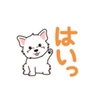 やさしいウエスティ『デカ文字・敬語』（個別スタンプ：1）