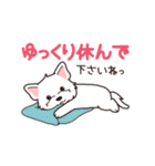 やさしいウエスティ『デカ文字・敬語』（個別スタンプ：13）