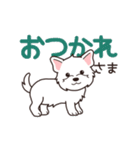 やさしいウエスティ『デカ文字・敬語』（個別スタンプ：14）