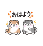 たれ耳柴犬♡お返事・挨拶スタンプ（個別スタンプ：1）