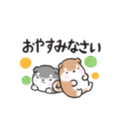 たれ耳柴犬♡お返事・挨拶スタンプ（個別スタンプ：16）