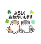 たれ耳柴犬♡お返事・挨拶スタンプ（個別スタンプ：17）