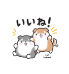 たれ耳柴犬♡お返事・挨拶スタンプ（個別スタンプ：19）