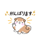 たれ耳柴犬♡お返事・挨拶スタンプ（個別スタンプ：22）