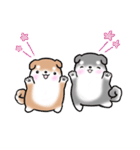 たれ耳柴犬♡お返事・挨拶スタンプ（個別スタンプ：28）