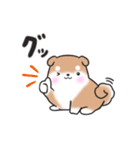 たれ耳柴犬♡お返事・挨拶スタンプ（個別スタンプ：29）