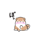 たれ耳柴犬♡お返事・挨拶スタンプ（個別スタンプ：31）