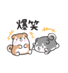 たれ耳柴犬♡お返事・挨拶スタンプ（個別スタンプ：34）