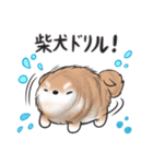 たれ耳柴犬♡お返事・挨拶スタンプ（個別スタンプ：40）