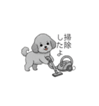 カップル・夫婦で使いやすいトイプードル②（個別スタンプ：1）