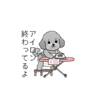 カップル・夫婦で使いやすいトイプードル②（個別スタンプ：3）