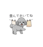 カップル・夫婦で使いやすいトイプードル②（個別スタンプ：6）