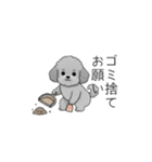 カップル・夫婦で使いやすいトイプードル②（個別スタンプ：8）