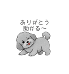 カップル・夫婦で使いやすいトイプードル②（個別スタンプ：18）