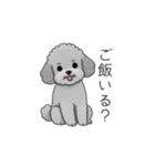 カップル・夫婦で使いやすいトイプードル②（個別スタンプ：19）