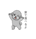 カップル・夫婦で使いやすいトイプードル②（個別スタンプ：20）