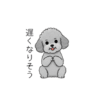 カップル・夫婦で使いやすいトイプードル②（個別スタンプ：22）