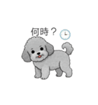 カップル・夫婦で使いやすいトイプードル②（個別スタンプ：24）