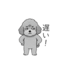 カップル・夫婦で使いやすいトイプードル②（個別スタンプ：25）