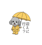 カップル・夫婦で使いやすいトイプードル②（個別スタンプ：26）