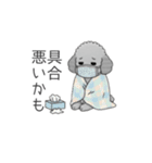 カップル・夫婦で使いやすいトイプードル②（個別スタンプ：28）