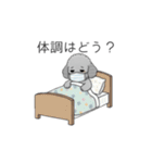 カップル・夫婦で使いやすいトイプードル②（個別スタンプ：29）